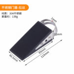 Door plug